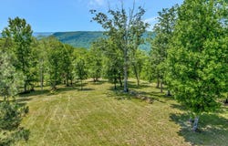 225 Bobcat Trail, Jasper, TN 37347