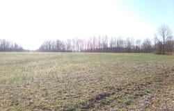 1235 Ewing Ridge Road, Dunnville, KY 42528