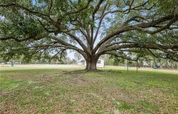 19302 ROBERT Road, Hammond, LA 70403