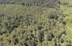 002 County Road 1024, Carthage, MS 39051