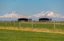 12444 SW Green Drive, Culver, OR 97734