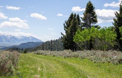 Lot 38 Sun West Ranch, Cameron, MT 59720