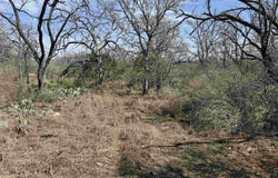 Lot 294 Pinemont Drive, Kingsland, TX 78639