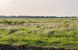 ELM BRANCH lot: 18, Elm Mott, TX 76640