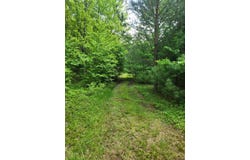 0 Greenbush Rd, Erin, NY, NY 14838