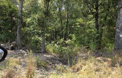 Riverside Drive, Jackson, TN 38301