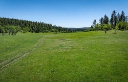 Highway 85, Lead, SD 57754