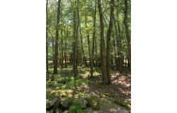 19 Sunshine Drive, White Haven, PA 18661