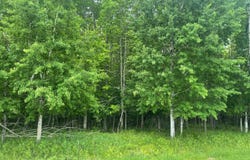4th Add. MARGARET LN, Park Falls, WI 54552