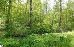 3882 S 5 1/2 Road, Harrietta, MI 49638