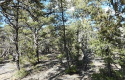 21 Cresta Vista Court, Tijeras, NM 87059