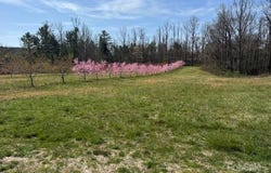St Pauls Road, Hendersonville, NC 28792