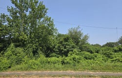 1607 Maryland Ave, Knoxville, TN 37921