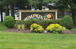 34 Pumpkin, Chili, NY 14624