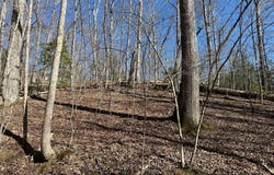 Lt 95/97 Asheland, Young Harris, GA 30582