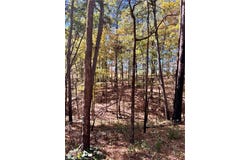 63 Yellow Bass  RD, Smithville, OK 74957