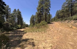 TBD Unit 3 Forest Lakes, Bayfield, CO 81122