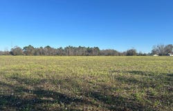 xx Mimosa Ln, Cottondale, FL 32431