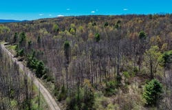 00WP1 Cr 352, Medusa, NY 12120