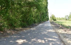 0 Sullivent Rd, Folsom, LA 70446