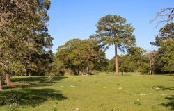 490 John Craft Road, Red Rock, TX 78662