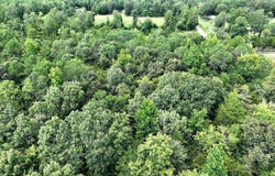 Polk Road 676, Mena, AR 71953
