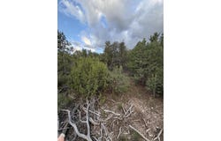 Skyline Ct Tract 6D, Sandia Park, NM 87047