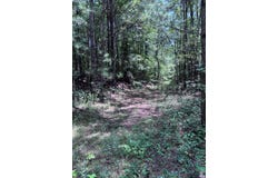 North Palestine Road, Baldwyn, MS 38824