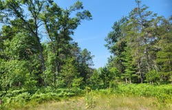 Norseman Drive lot: 30, Grayling, MI 49738
