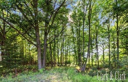 168th Avenue, Spring Lake, MI 49456