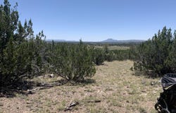 37925 W Raptor Road, Seligman, AZ 86337