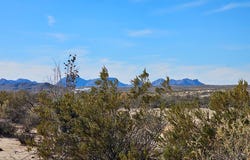 4906 Lowery-Key Rd, Terlingua, TX 79852