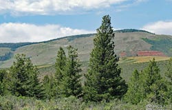 Livermore, CO 80536
