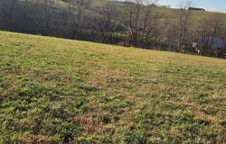 7370 Energy Road, Ewing, KY 41039