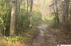 3000 ROBERTS MILL POND ROAD, PELL CITY, AL 35125