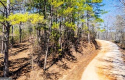 0 County Road 269, Wedowee, AL 36278