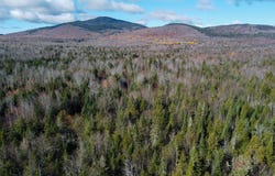 M5L16 Aroostook Scenic Highway, Hersey, ME 04780