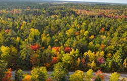14859 N Whitefish Point RD, Paradise, MI 49768