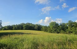001 Tomahawk Slab Road, Saint Joe, AR 72675