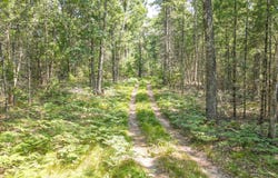 2905 Brunswick Road, Holton, MI 49425