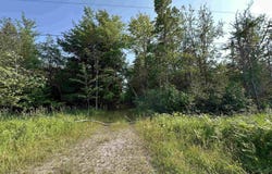 28.95 Acre County Road 432, Gulliver, MI 49840