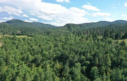 5410 Lazy Horse Ln, Spearfish, SD 57783
