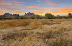 7770 S 543rd Avenue, Tonopah, AZ 85354