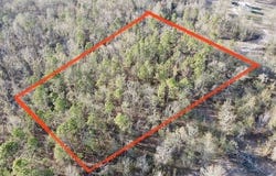 NE Cedar Trail, Pinetta, FL 32350