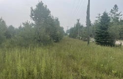 V/L REAMS ROAD, INDIAN RIVER, MI 49749