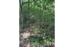 108 Trail Glen Drive, Mabank, TX 75156