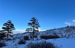 788 36th Trail, Cotopaxi, CO 81223