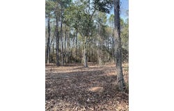 01 A Pittman Rd, Sandy Hook, MS 39478
