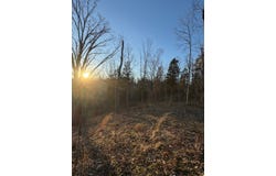 0 Sneakville Rd, Larewnceburg, IN 47025