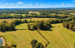 McCaney Mill Road, Lexington, TN 38351